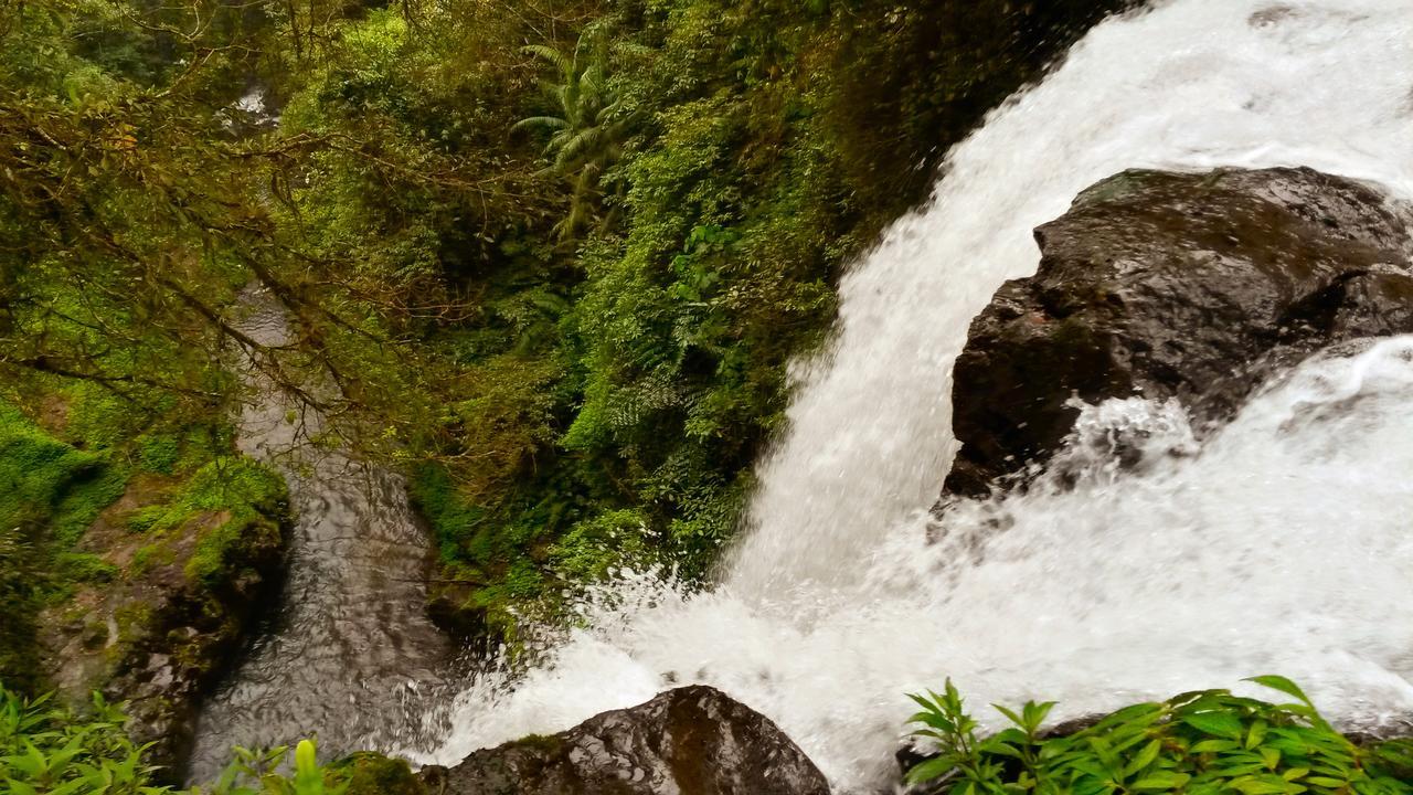 Pondok Manis Singaraja Kültér fotó